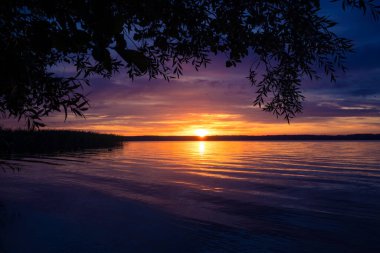 Gölde gün batımı manzarası ve ağaç dalları. Kuzey Avrupa 'daki Lakeside akşam manzarası.