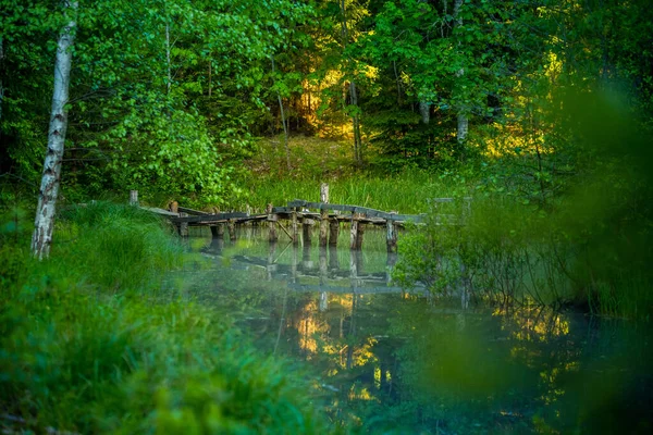 Beautiful Forest Pond Man Made Wooden Constructions Summertime Scenery Woodlands — Stock Photo, Image