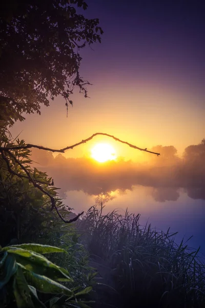 A beutiful sunrise landscape in the river valley with rising mist and vegetation growing on the river banks. Summertime scenery on Northern Europe river valley.