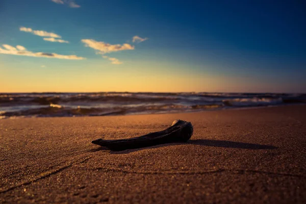 Ett Vackert Solnedgångslandskap Med Gamla Trädpartier Stranden Torkat Dött Träd — Stockfoto