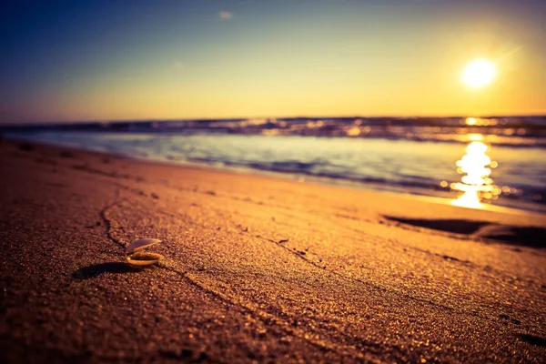 Vacker Solnedgång Vid Östersjöns Strand Havslandskap Sommaren Norra Europa — Stockfoto