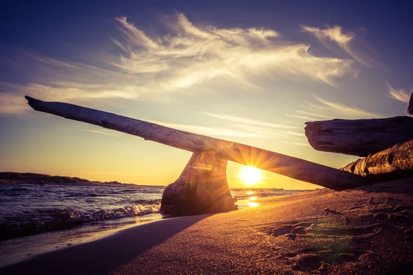 Ett Vackert Solnedgångslandskap Med Gamla Trädpartier Stranden Torkat Dött Träd — Stockfoto