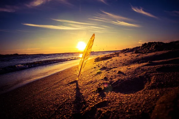 Vacker Solnedgång Vid Östersjöns Strand Havslandskap Sommaren Norra Europa — Stockfoto