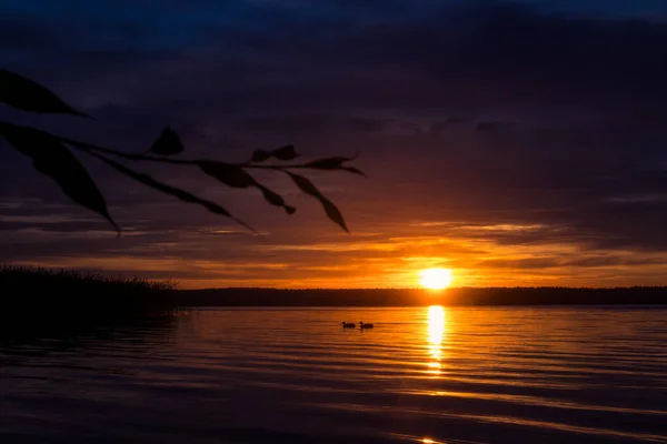 Eine Wunderschöne Sonnenuntergangskulisse See Mit Baumzweigsihouette Abendliche Seenlandschaft Nordeuropa — Stockfoto