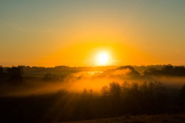 Yaz boyunca sisli bir sabahın güzel manzarası. Kuzey Avrupa 'nın yaz manzarası.