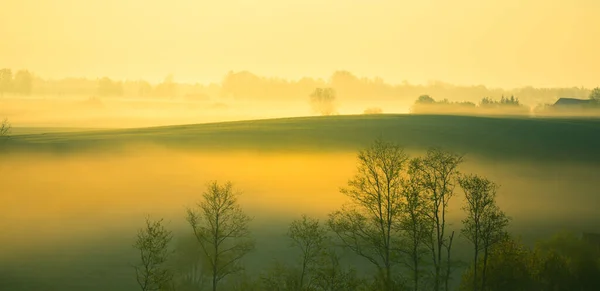 Uzakta ufuk çizgisi olan, yazın sisli bir gündoğumunun minimalist manzarası. Kuzey Avrupa 'nın yaz manzarası.