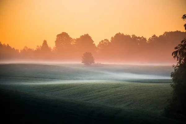 Paesaggio Minimalista Alba Nebbiosa Estate Con Orizzonte Lontano Paesaggio Estivo — Foto Stock