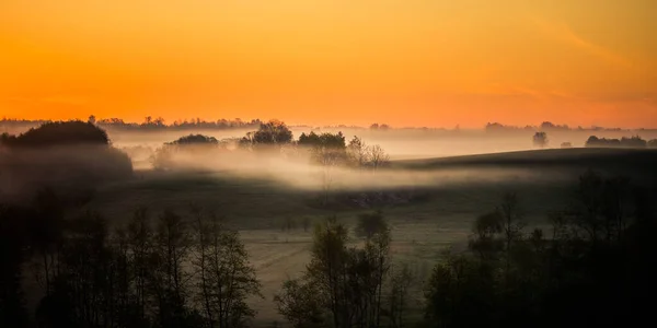 Красивый Пейзаж Туманного Утра Летом Летние Пейзажи Северной Европы — стоковое фото