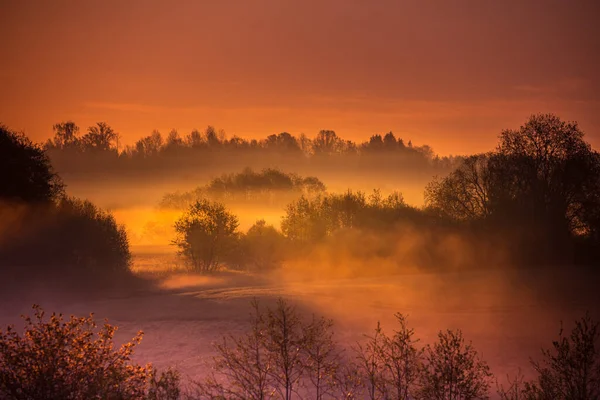 Ett Vackert Landskap Dimmig Morgon Sommaren Sommartid Landskap Norra Europa — Stockfoto