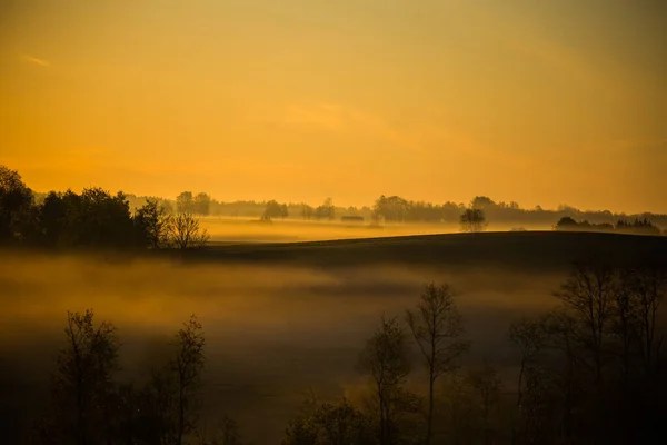 Bellissimo Paesaggio Una Mattina Nebbiosa Durante Estate Paesaggio Estivo Del — Foto Stock