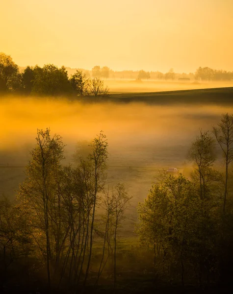 Bellissimo Paesaggio Una Mattina Nebbiosa Durante Estate Paesaggio Estivo Del — Foto Stock