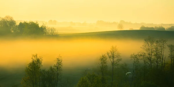 Beau Paysage Une Matinée Brumeuse Pendant Été Paysage Estival Europe — Photo