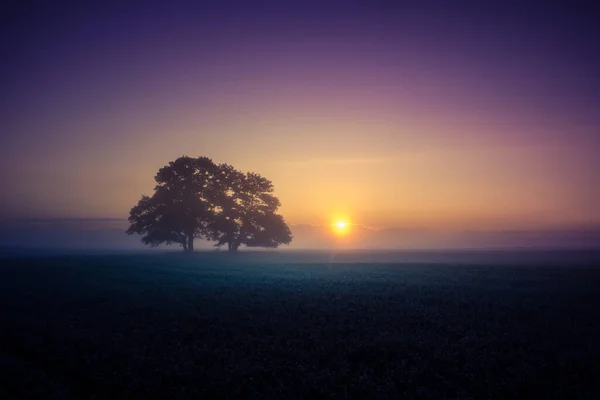 Vacker Fjärran Genom Dimman Sommaren Morgon Sommartid Landskap Norra Europa — Stockfoto