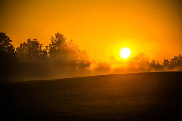 Eine Sonnenscheibe Die Während Des Sommerlichen Sonnenaufgangs Durch Den Nebel — Stockfoto