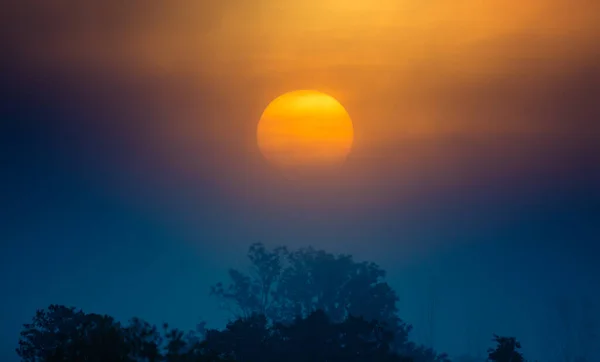 Disco Solare Che Brilla Nella Nebbia Durante Alba Estiva Paesaggio — Foto Stock