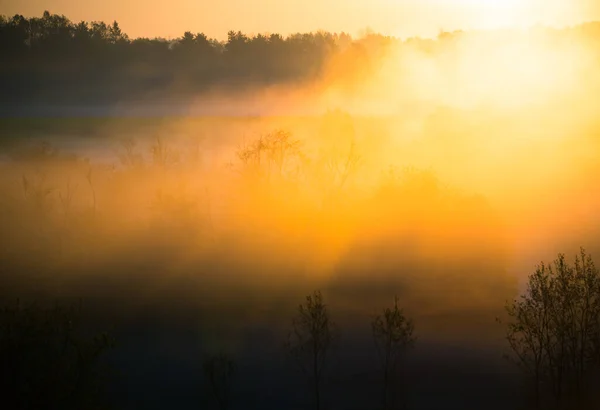 Güneşin Sisli Bir Gündoğumunda Ağaçların Arasından Parladığı Güzel Bir Manzara — Stok fotoğraf