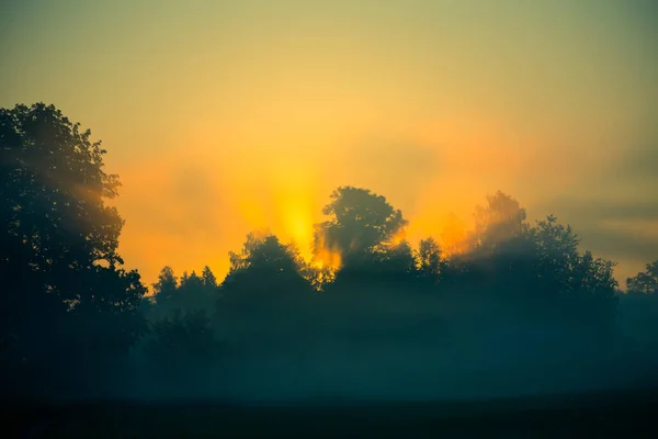 Een Prachtig Landschap Met Zonnestralen Die Door Bomen Schijnen Tijdens — Stockfoto