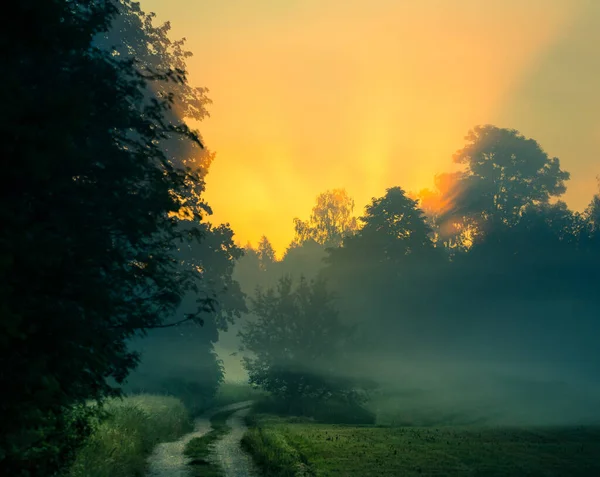 안개낀 사이로 비치는 아름다운 풍경이다 북유럽의 여름철 — 스톡 사진