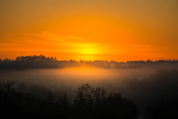 Eine Neblige Sonnenaufgangslandschaft Über Dem Kleinen Flusstal Sommerliche Landschaft Nordeuropas — Stockfoto