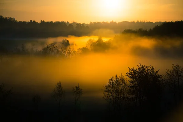 Paysage Brumeux Lever Soleil Sur Petite Vallée Rivière Paysage Estival — Photo