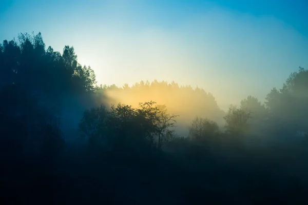 Eine Neblige Sonnenaufgangslandschaft Über Dem Kleinen Flusstal Sommerliche Landschaft Nordeuropas — Stockfoto