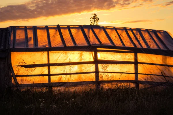 Ein Verlassenes Gewächshaus Alten Garten Mit Goldenem Sonnenaufgangslicht Sommerliche Landschaft — Stockfoto