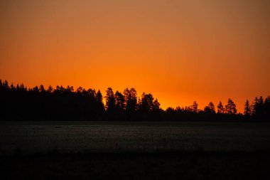 Güneş doğmadan önce şafak vakti güzel bir sabah manzarası. Kuzey Avrupa 'nın yaz manzarası.