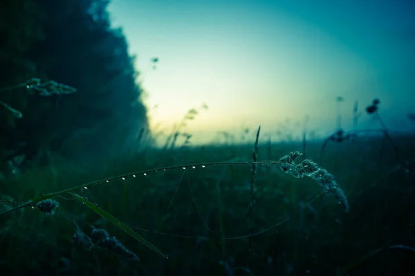 새벽의 아름다운 풍경입니다 북유럽의 여름철 — 스톡 사진