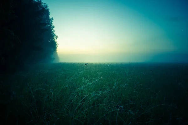 Uma Bela Paisagem Matinal Durante Amanhecer Antes Nascer Sol Cenário — Fotografia de Stock