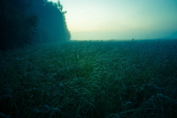 새벽의 아름다운 풍경입니다 북유럽의 여름철 — 스톡 사진