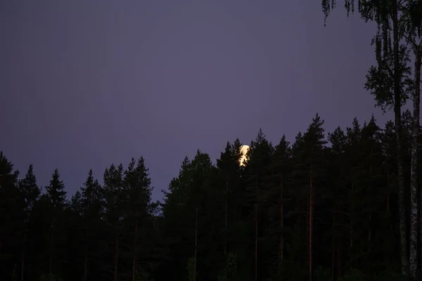 夏日黎明时分 一轮美丽的满月低垂在天空中 北欧的夏季风景 — 图库照片