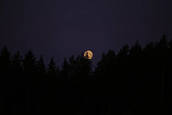 Beautiful Full Moon Shining Low Sky Summer Dawn Summertime Scenery — Foto de Stock