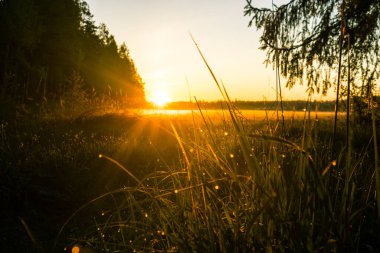 Kırsal bir manzaranın üzerinde doğan yaz güneşi. Gün doğumu manzarası. Kuzey Avrupa 'nın yaz manzarası.