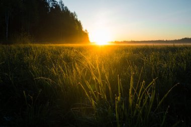 Kırsal bir manzaranın üzerinde doğan yaz güneşi. Gün doğumu manzarası. Kuzey Avrupa 'nın yaz manzarası.