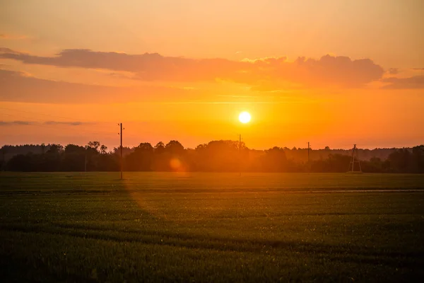 The summer sun rising over a rural scenery. Sunrise landscape. Summertime scenery of Northern Europe.