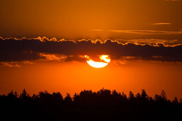 Die Sommersonne Geht Über Einer Ländlichen Landschaft Auf Sonnenaufgangslandschaft Sommerliche — Stockfoto