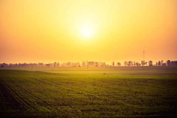Літнє Сонце Сходить Дуже Туманний Ранок Великою Кількістю Частинок Пилу — стокове фото