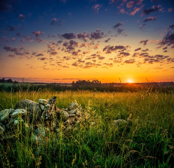 Sol Nasce Sobre Prado Verão Grama Crescendo Paisagem Rural Durante — Fotografia de Stock