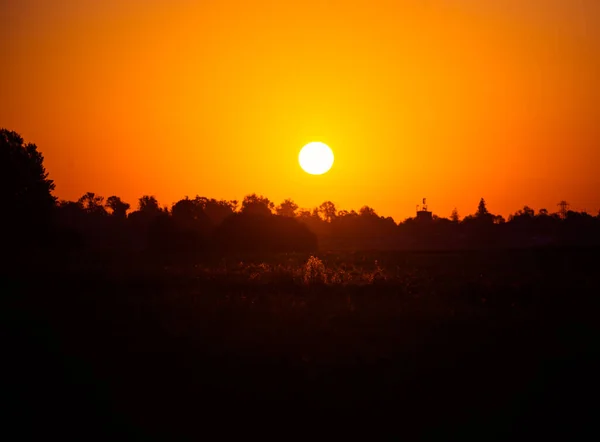 Belo Nascer Sol Verão Atrás Das Árvores Sílhueta Árvore Contra — Fotografia de Stock