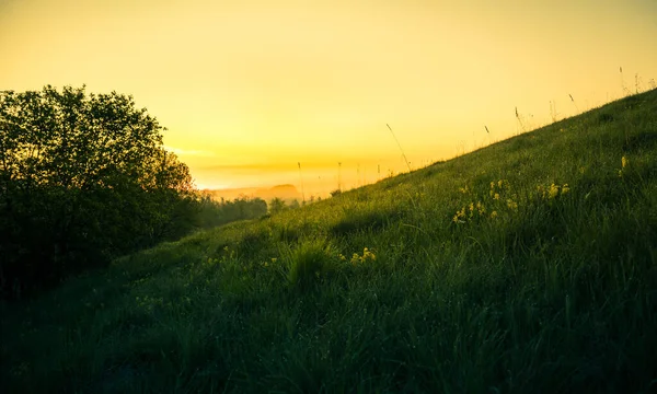 Summertime scenery of hillside in Northern Europe.