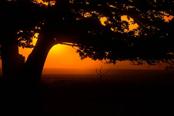 Eine Wunderschöne Abendkulisse Einer Ländlichen Landschaft Sonnenuntergang Der Landschaft Sommerliche — Stockfoto