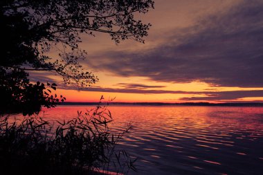 Runrise 'dan önce güzel bir sonbahar sabahı manzarası. Riga, Letonya 'da mevsimlik manzara.