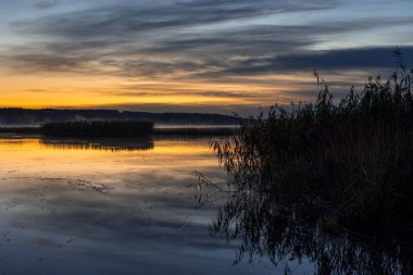 Gölde yetişen kamışların olduğu güzel bir sonbahar gündoğumu manzarası. Riga, Letonya 'nın sabah manzarası.