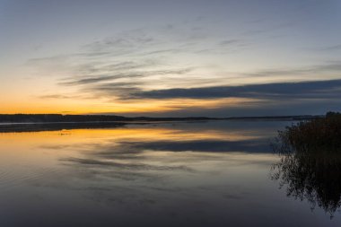 Gölde yetişen kamışların olduğu güzel bir sonbahar gündoğumu manzarası. Riga, Letonya 'nın sabah manzarası.