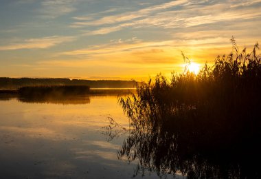 Gölde yetişen kamışların olduğu güzel bir sonbahar gündoğumu manzarası. Riga, Letonya 'nın sabah manzarası.