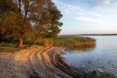 Ağaçlı bir gölün kıyısında güneşli bir sonbahar sabahı. Letonya 'nın parlak, renkli manzarası.