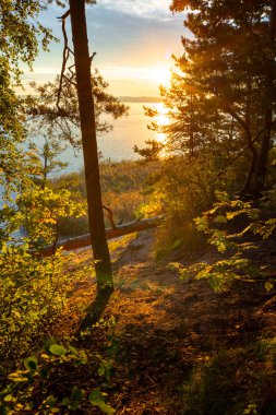 Ağaçlı bir gölün kıyısında güneşli bir sonbahar sabahı. Letonya 'nın parlak, renkli manzarası.