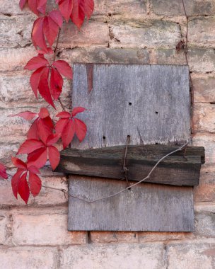 Şehirdeki güzel sonbahar manzarası binalar ve ağaçlarla dolu. Riga, Letonya.