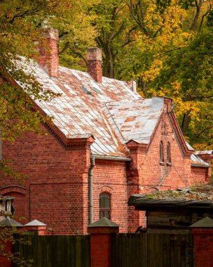 Şehirdeki güzel sonbahar manzarası binalar ve ağaçlarla dolu. Riga, Letonya.
