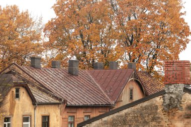 Şehirdeki güzel sonbahar manzarası binalar ve ağaçlarla dolu. Riga, Letonya.
